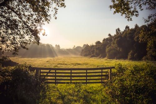 Wooden Fence on a Meadow 