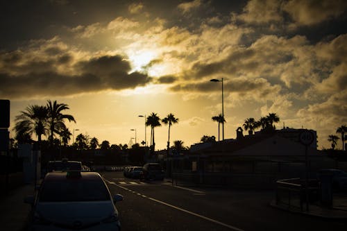 Free stock photo of canary islands