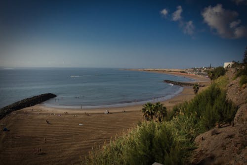 Free stock photo of canary islands