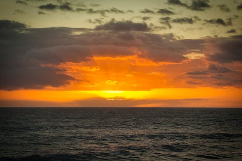 Free stock photo of canary islands