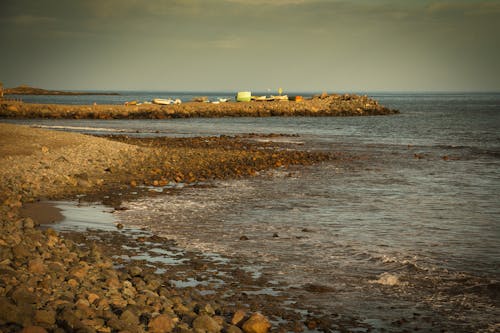 Free stock photo of canary islands