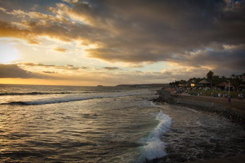 Free stock photo of canary islands