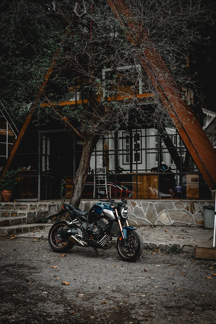 Motorbike And Tree Near House In Village