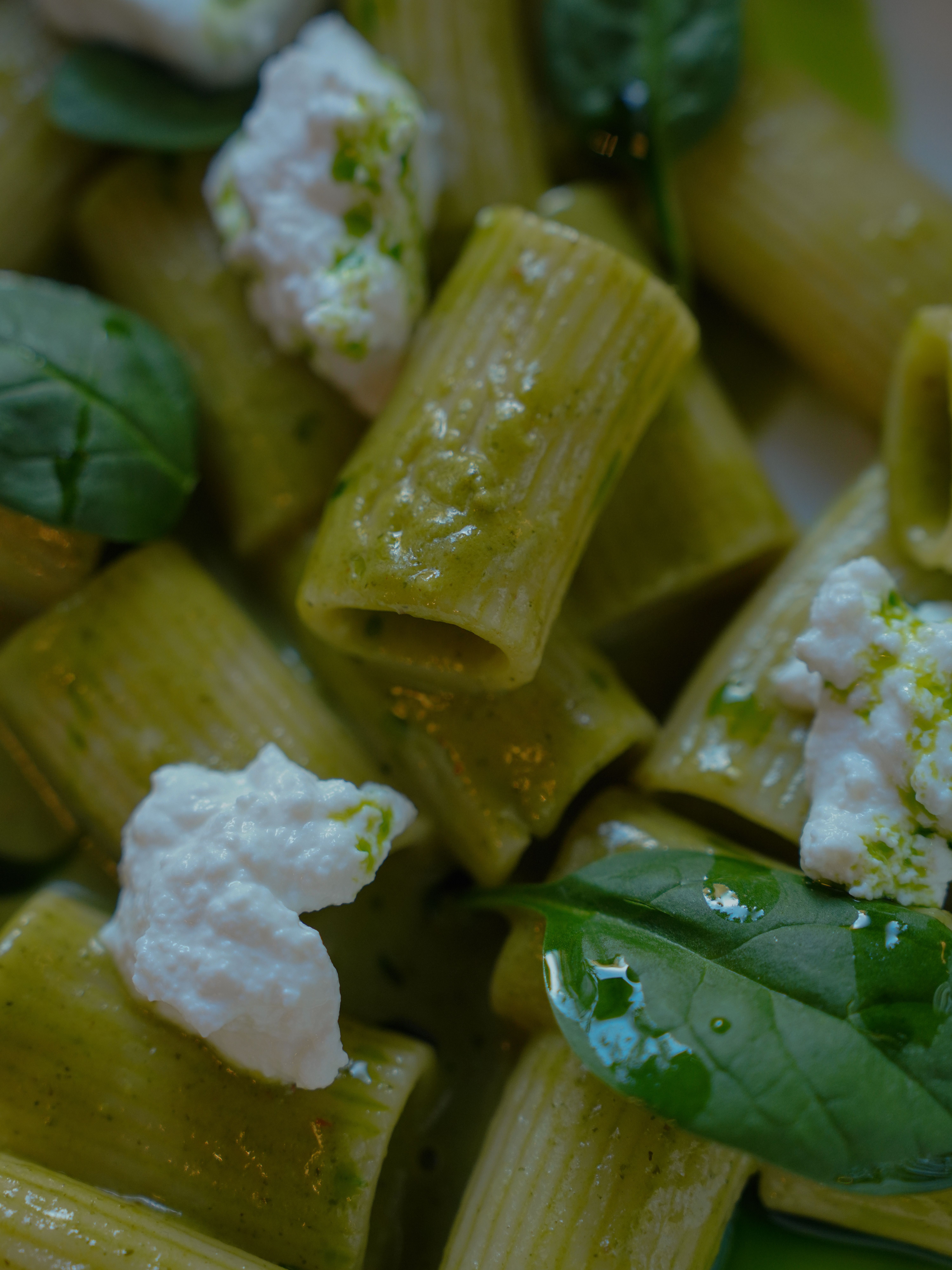Beautifully plated green penne pasta with ricotta cheese and fresh spinach leaves.