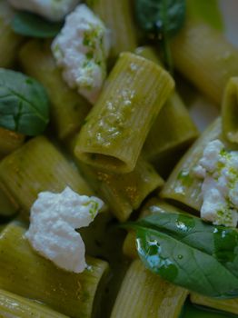 Beautifully plated green penne pasta with ricotta cheese and fresh spinach leaves.