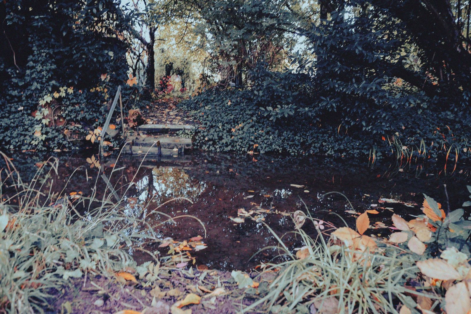 Marches sur l'automne