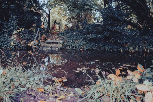 Marches sur l'automne