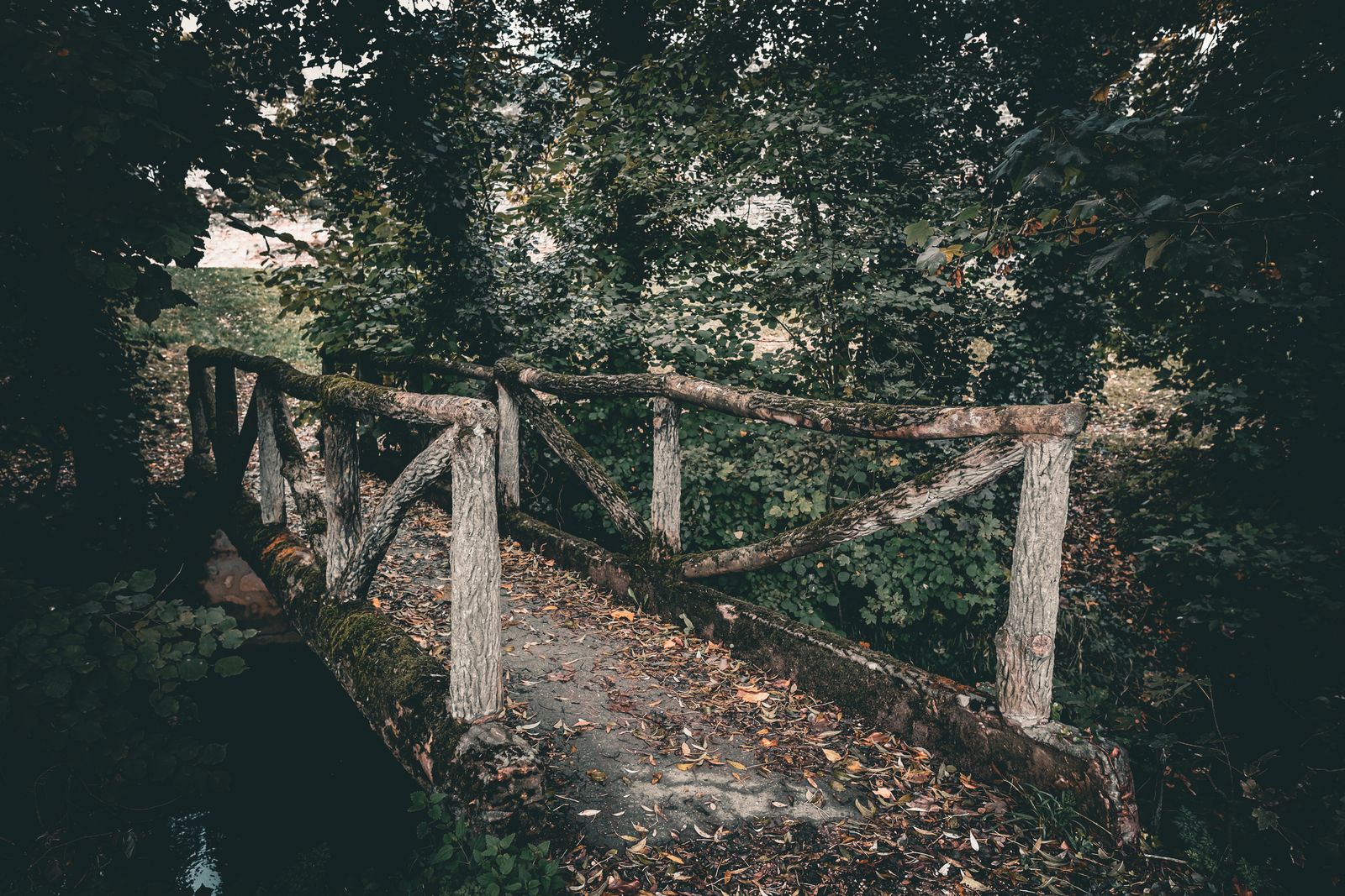 Pont