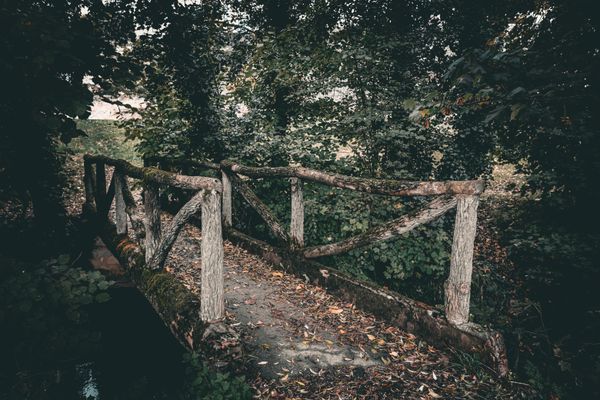 Pont