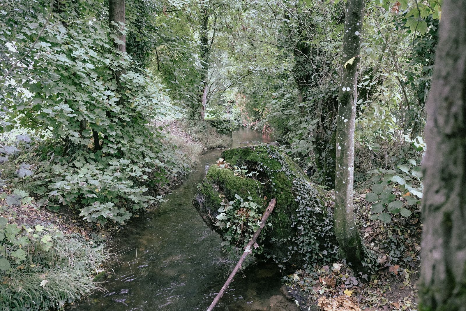 Nature, encore et toujours