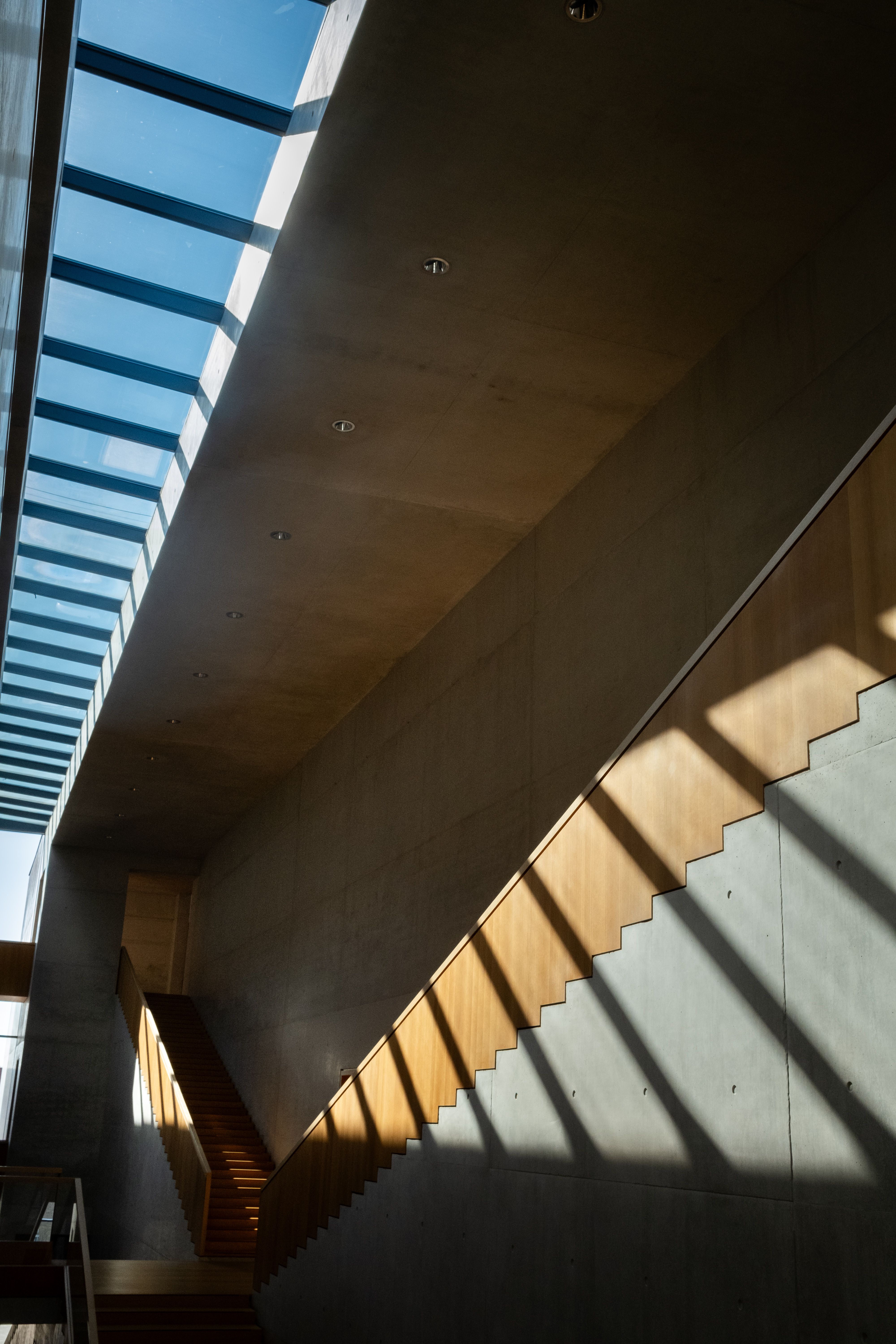 Modern minimalist museum interior featuring a sunlit concrete staircase and glass ceiling.