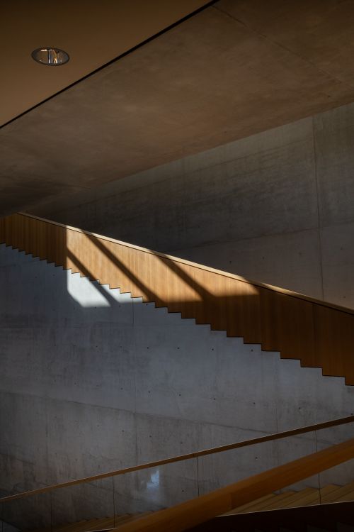Free Abstract view of a modern concrete staircase with dramatic shadows and natural light. Stock Photo