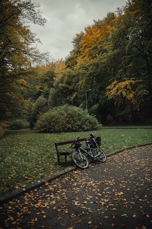 Základová fotografie zdarma na téma jízdní kolo, kolo, lavička