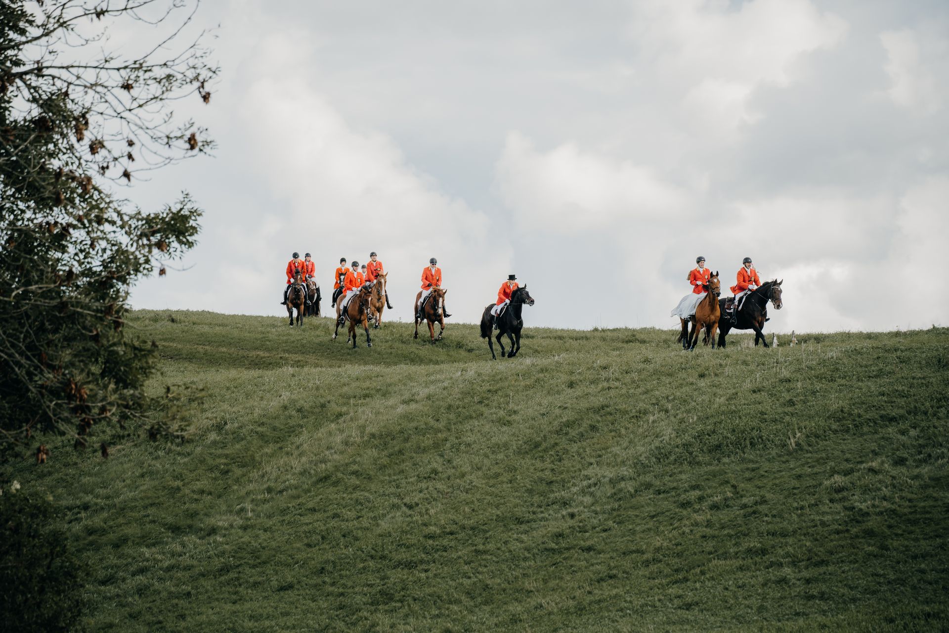 English Hunters in Red Traditional Jackets Riding Horses