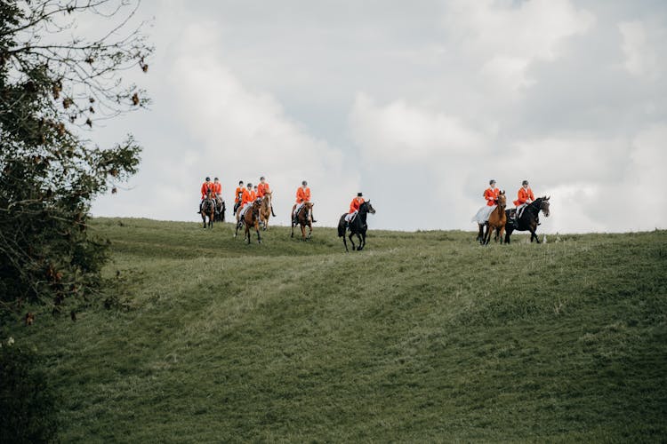 English Hunters In Red Traditional Jackets Riding Horses