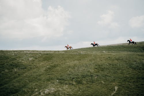 at binmek, atlar, avcılar içeren Ücretsiz stok fotoğraf