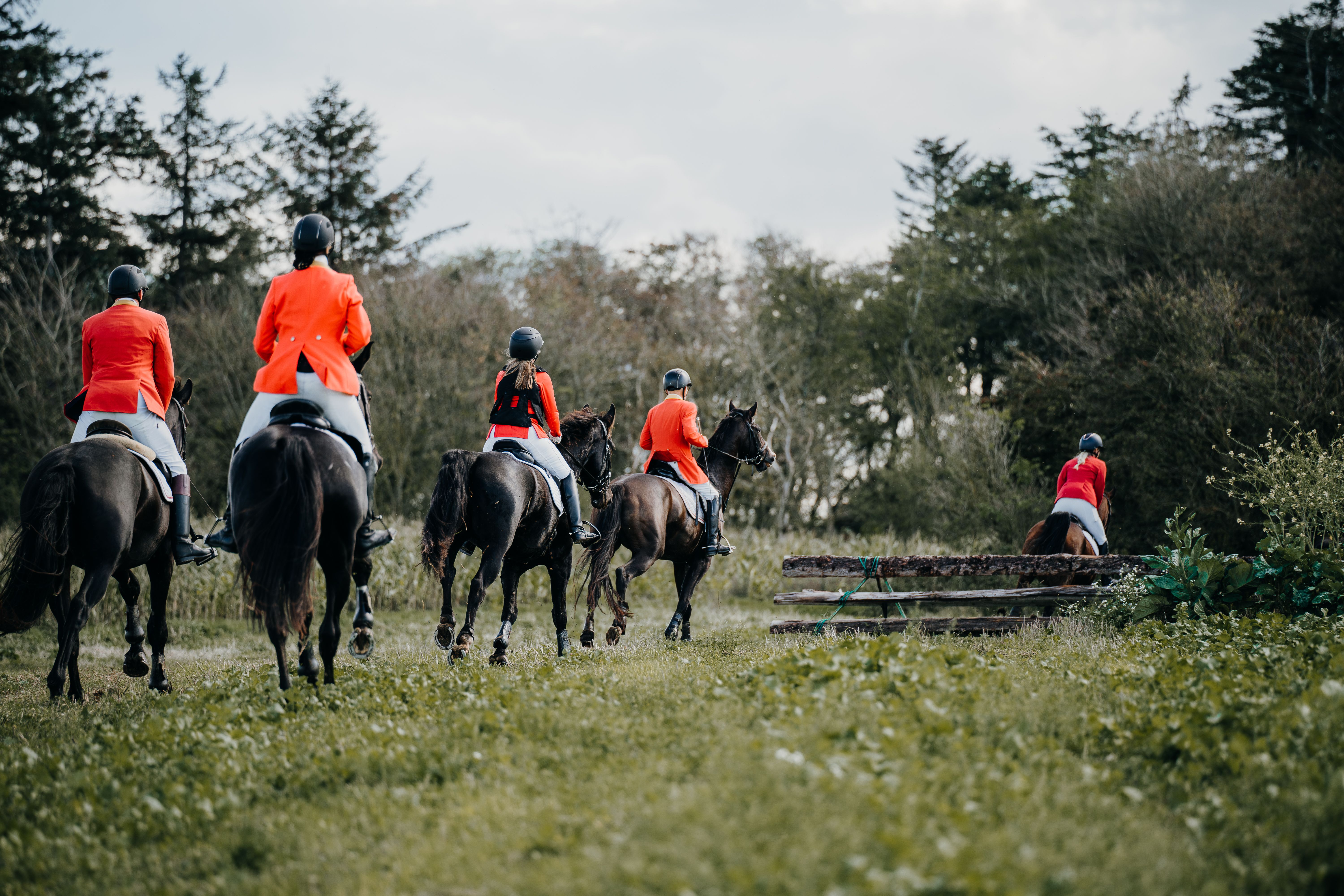 Équitation - Randonnée à cheval à Gribskov Forest