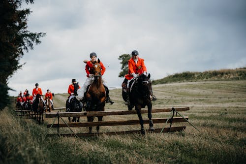 Foto profissional grátis de andar a cavalo, caçadores, caçando