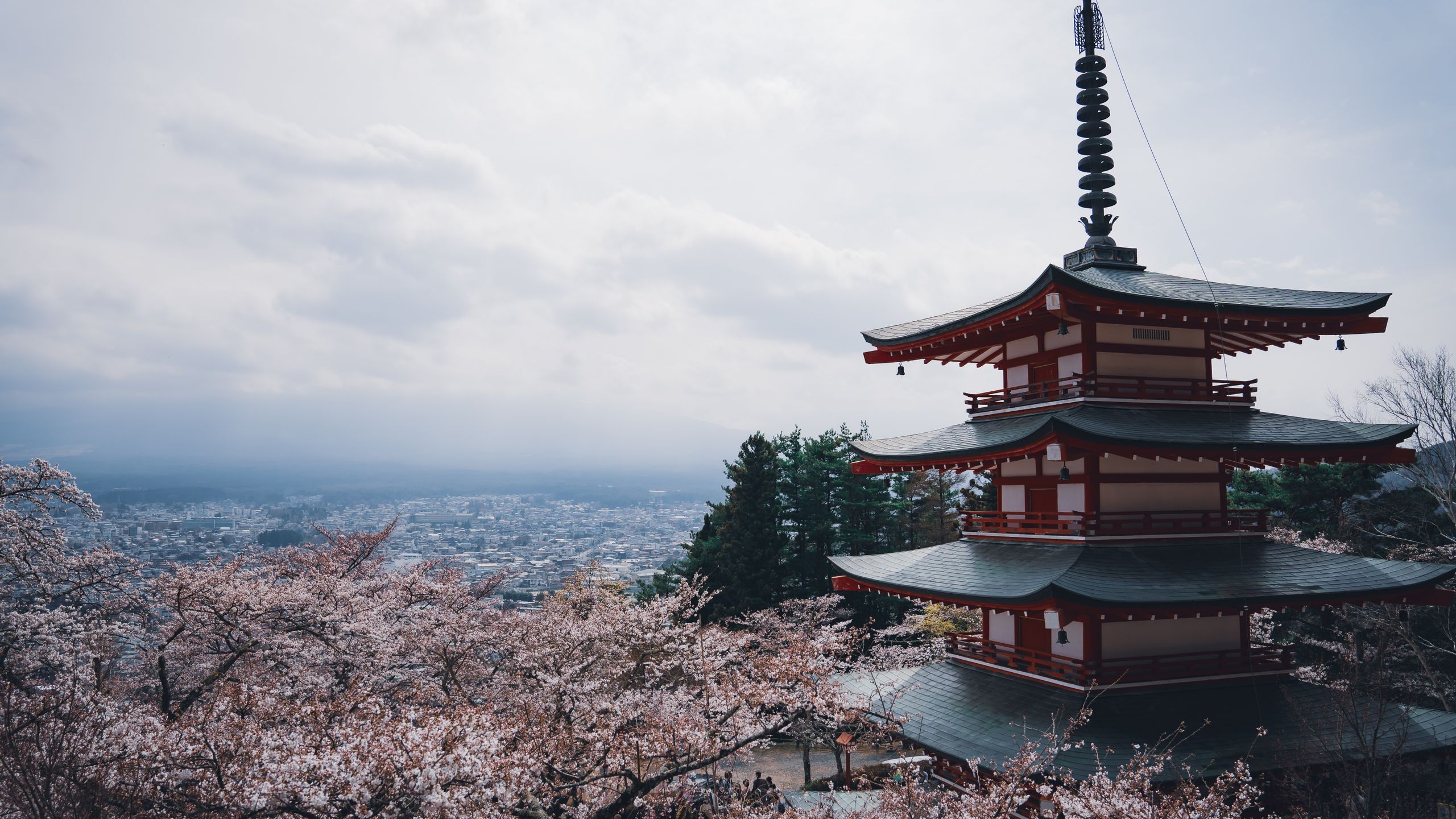 Japan Travel for Omanis: Tokyo, Kyoto, Halal Food Guide