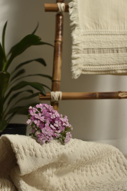 Free Warm interior featuring lush flowers and textured textiles for decor inspiration. Stock Photo