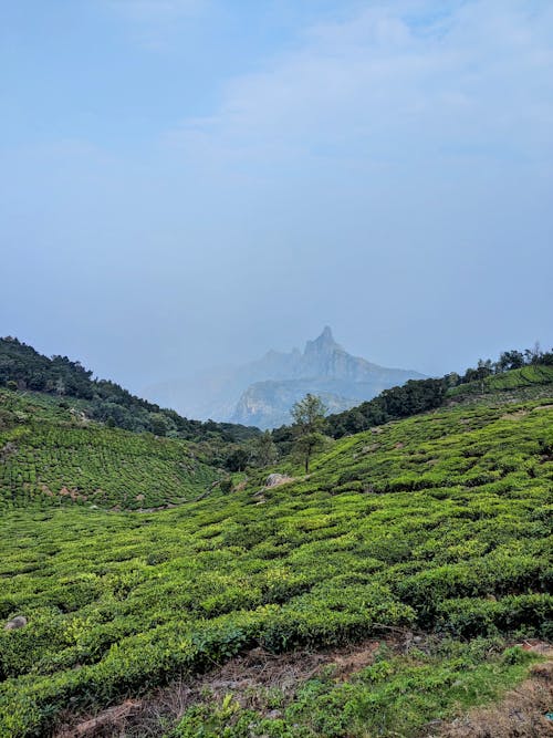 Foto profissional grátis de colinas verdes, fundo da natureza, papel de parede de montanha