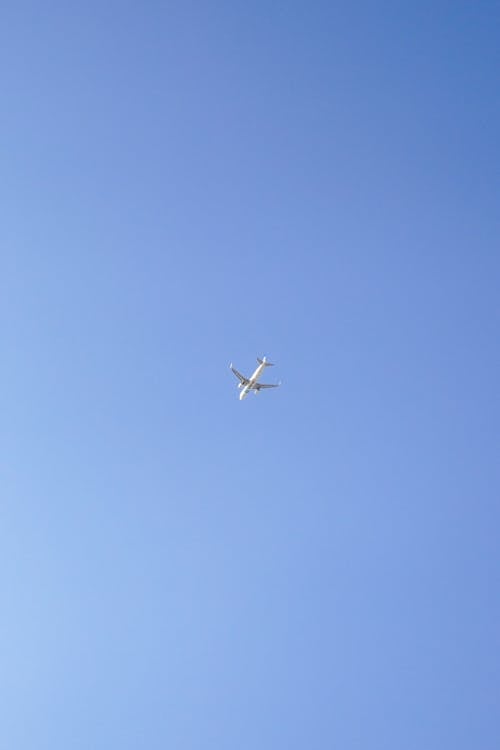 Základová fotografie zdarma na téma čisté nebe, letadla, letadlo