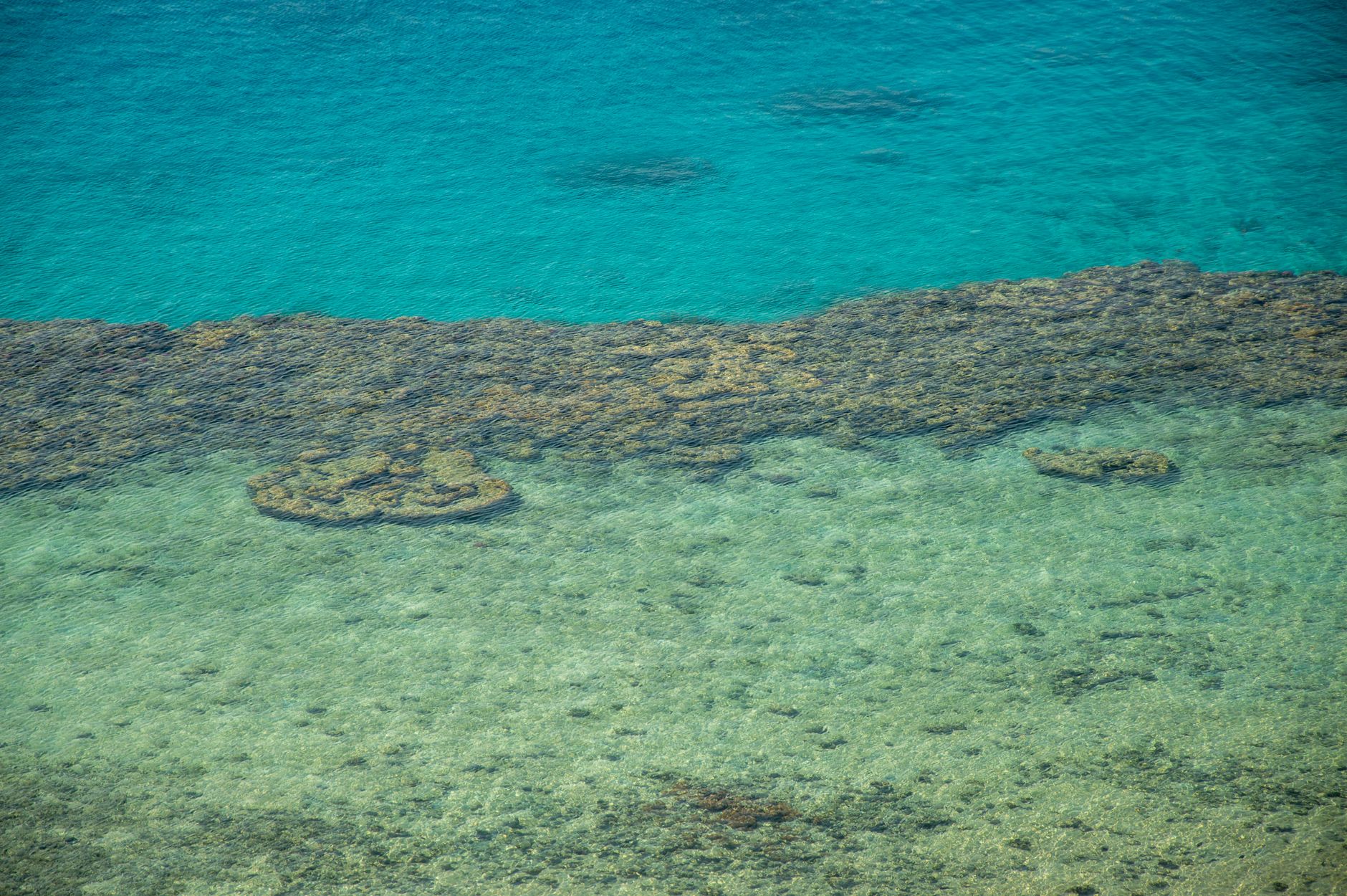 Stunning aerial view of transparent coastal waters showcasing vibrant coral reefs and rocky seabed.