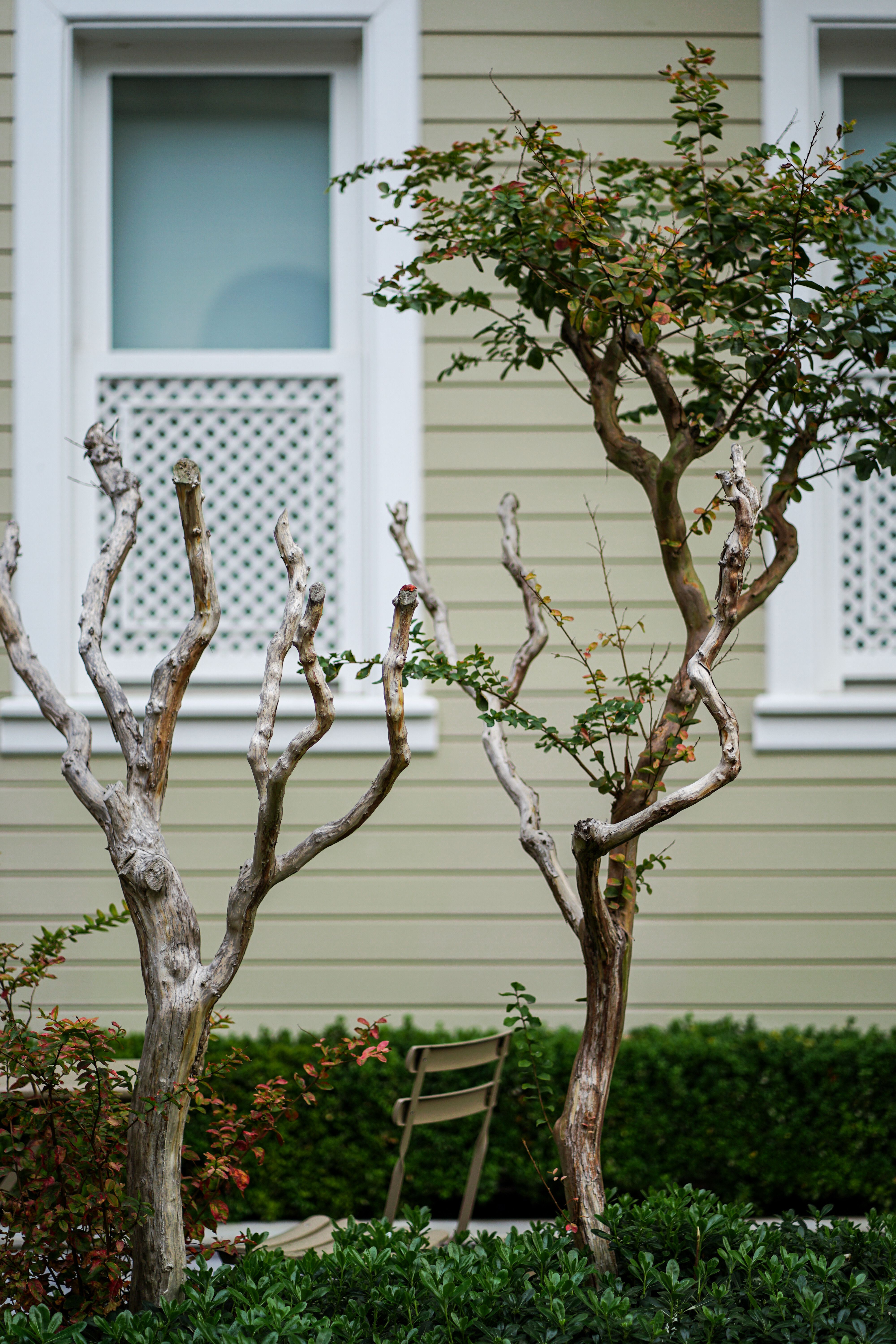 White Benches On the Garden · Free Stock Photo