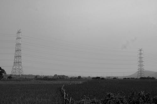 Imagine de stoc gratuită din alb-negru, câmp, campii