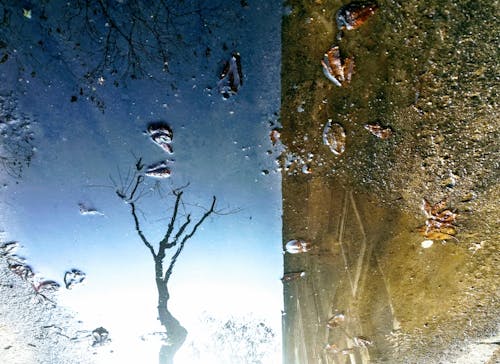 Free stock photo of city, puddle, reflection