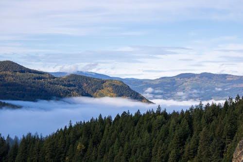 Cloud under Hills behind Forest