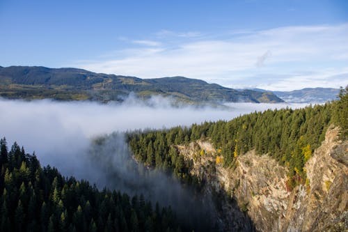 Scenic View of Rocky Mountains with Coniferous Forest above the Clouds 