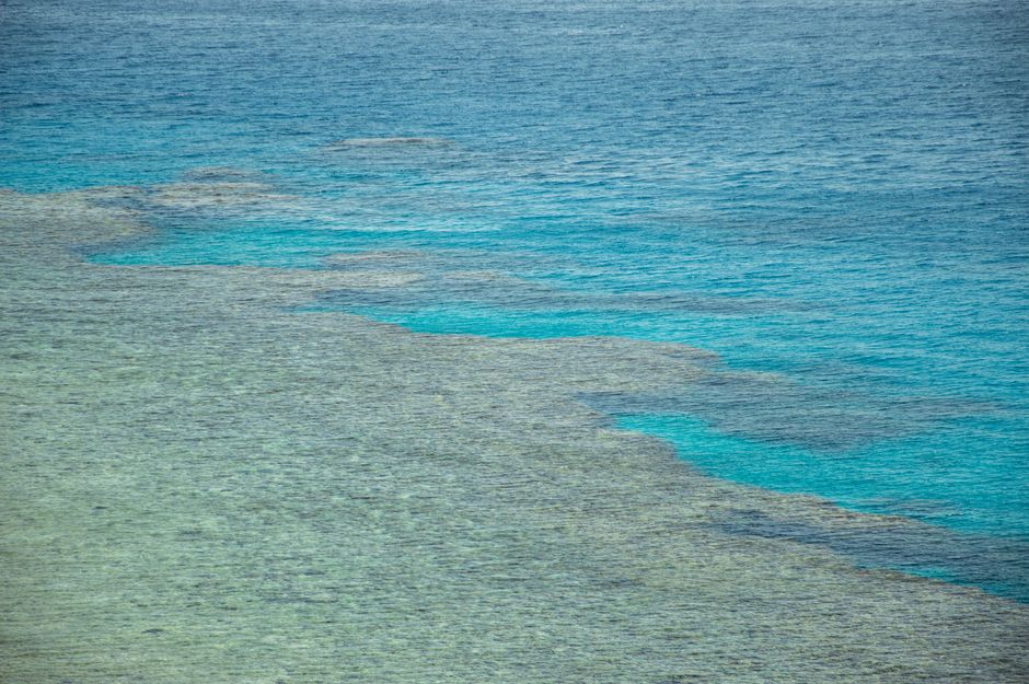 30 minute Reef Scenic Flight - Ariel view of vibrant blue coastal waters meeting a shallow shore, showcasing natural beauty.