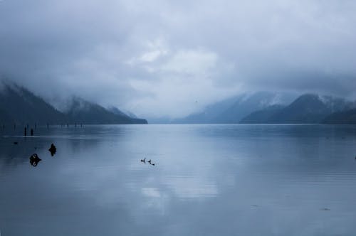 Безкоштовне стокове фото на тему «відображення, вода, гора»