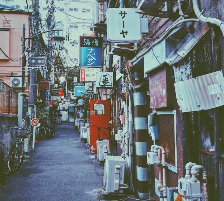 「ILLIT」、忙乱的日本旅行记公开…“为了获取零花钱的幻想团队合作” 「ILLIT」、忙乱的日本旅行记公开…“为了获取零花钱的幻想团队合作”