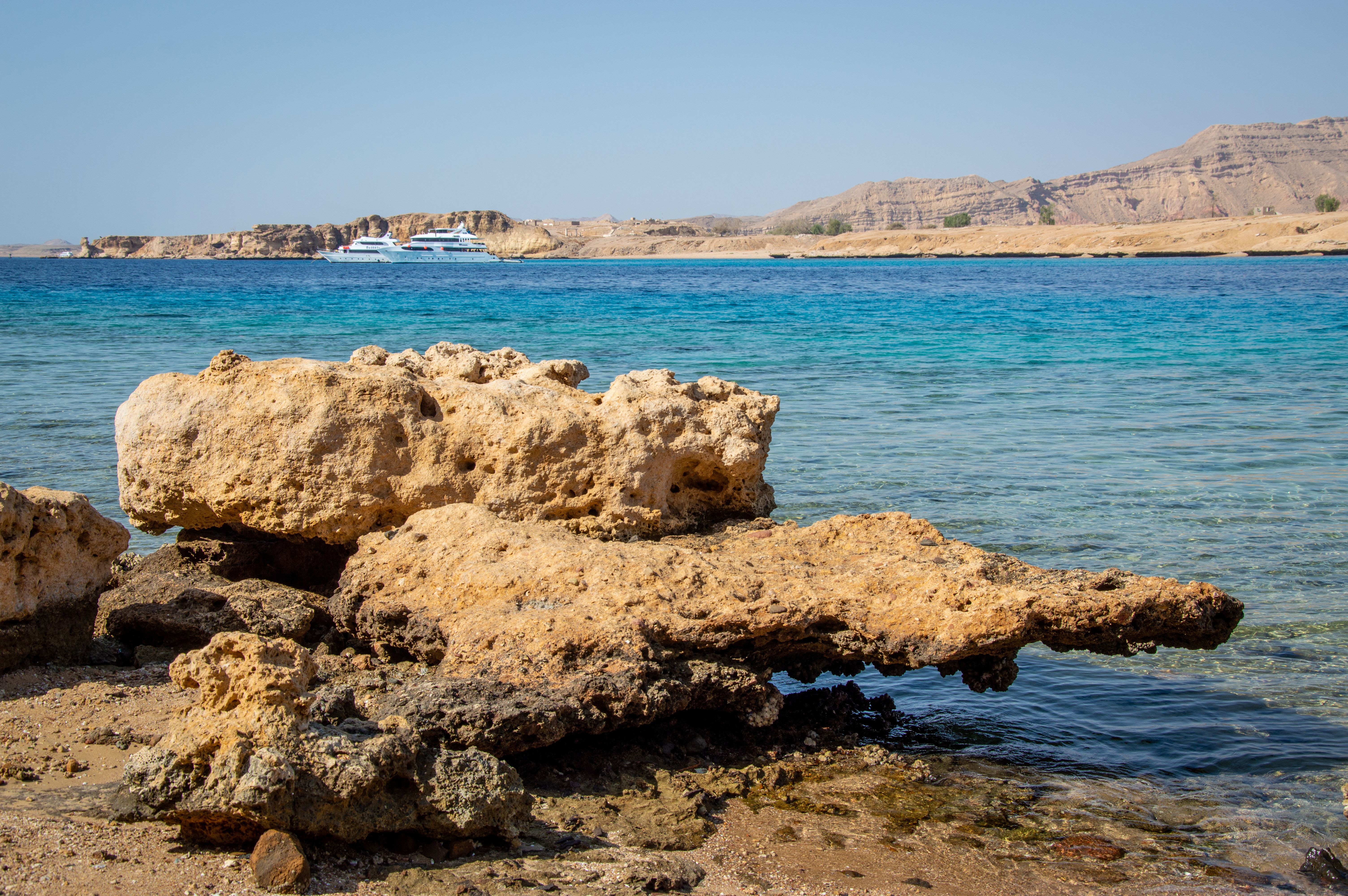 When to dive at Hamata, Fury Shoals and in the Deep South?