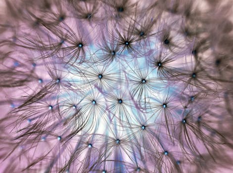 Delicate macro image of dandelion seeds showcasing intricate details and soft hues.