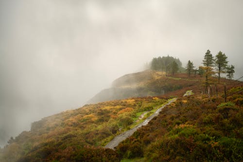 Autumn Mountain Landscape in Fog