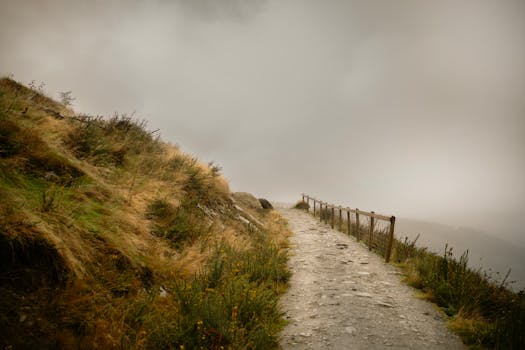 Misty mountain trail with rugged terrain and wooden fencing, creating a mysterious atmosphere.