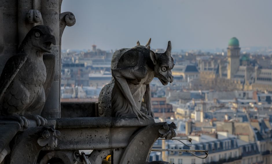 Live-Action Gargoyles TV Series Scrapped at Disney+