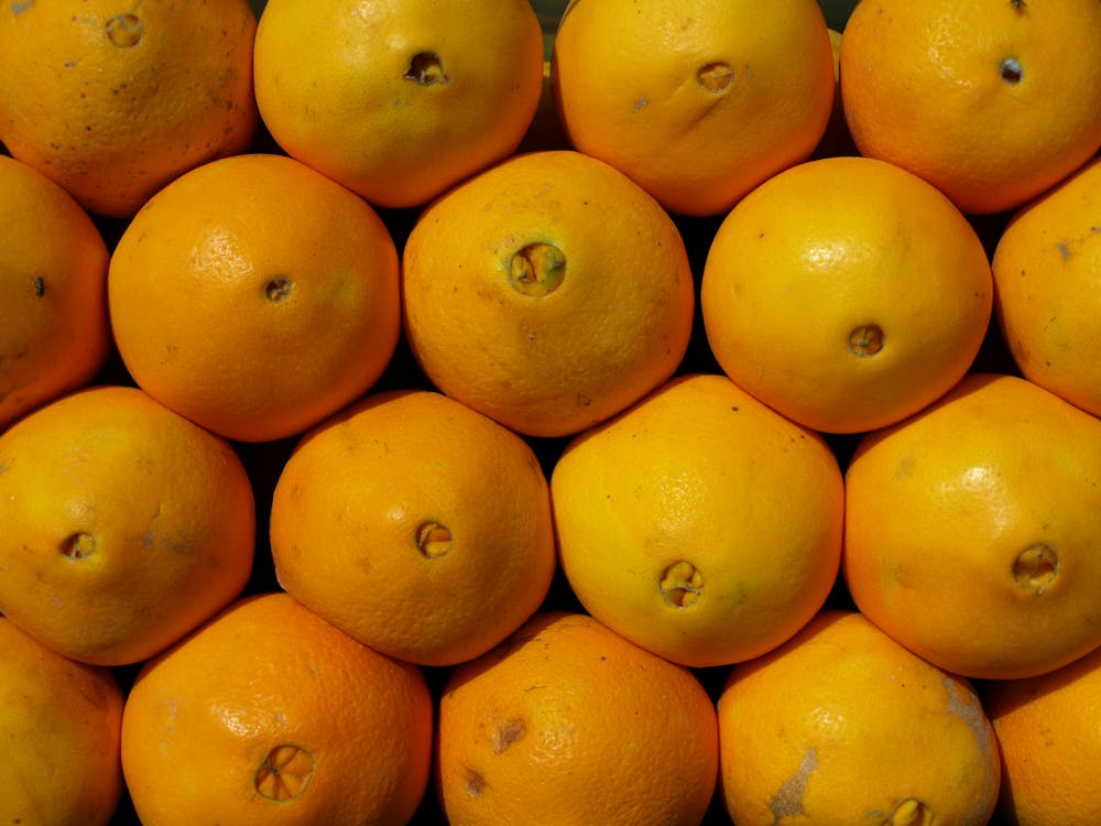 Gratis stockfoto met sinaasappels
