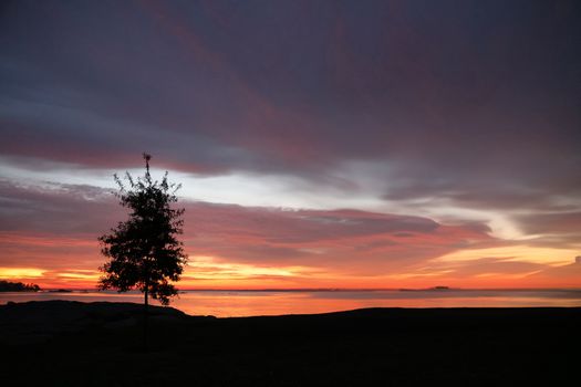 A lone tree silhouetted against a vibrant sunset by the sea, perfect for serene and contemplative themes.