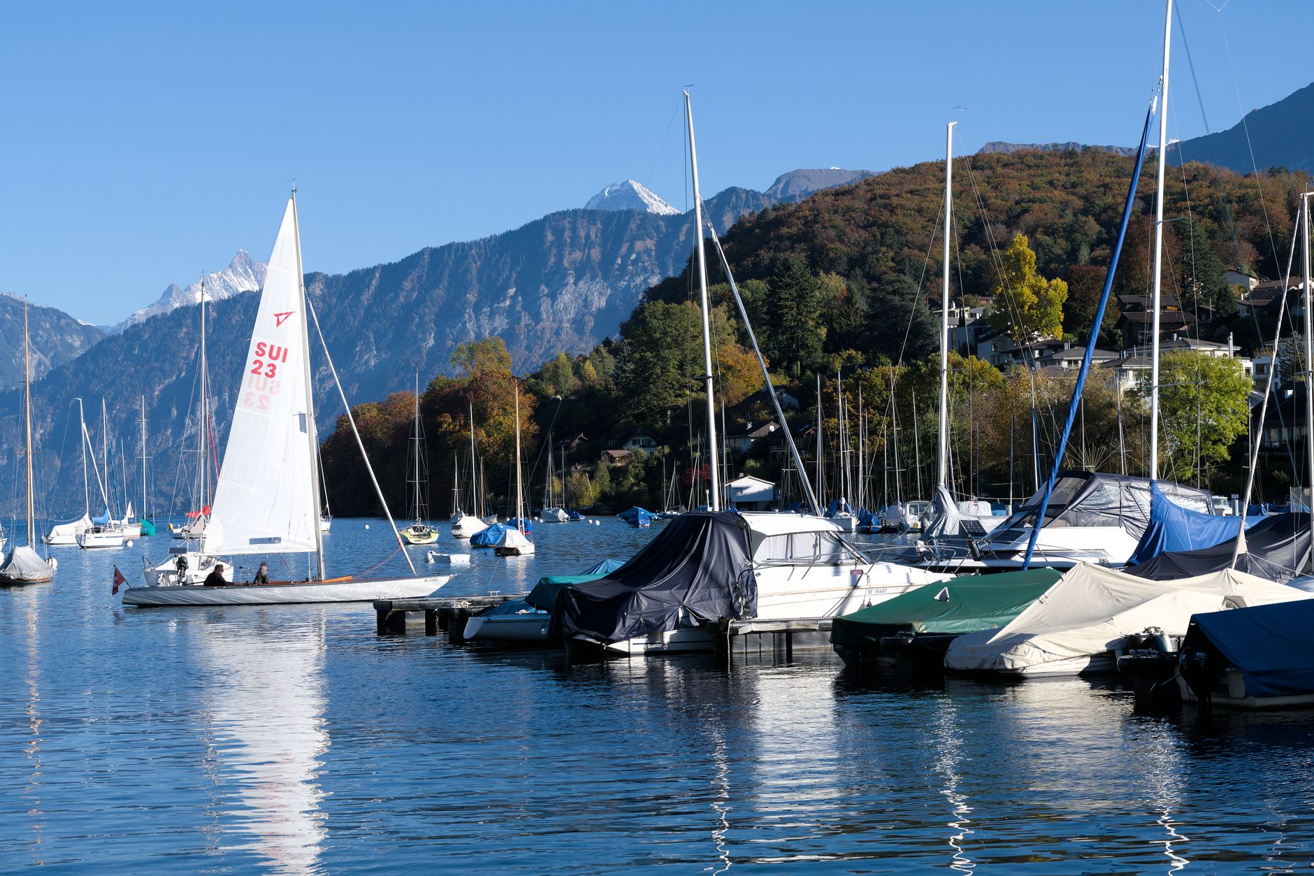 Cours de voile