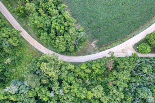 Darmowe zdjęcie z galerii z droga polna, fotografia lotnicza, gaj