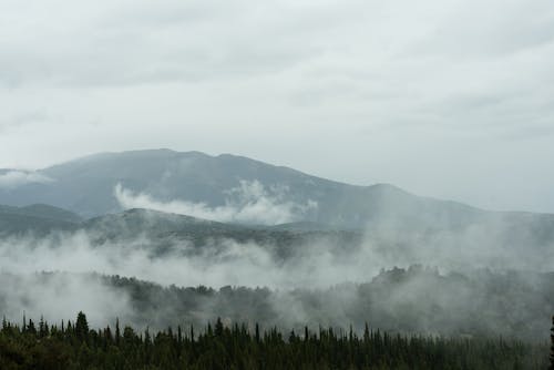 Rolling Mountain Landscape in Fog