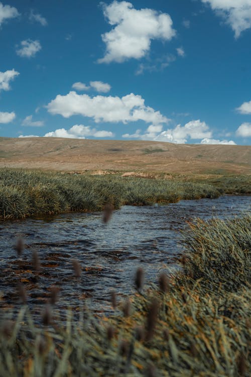 View of a River and Grass Fields under Blue Sky with White Clouds 