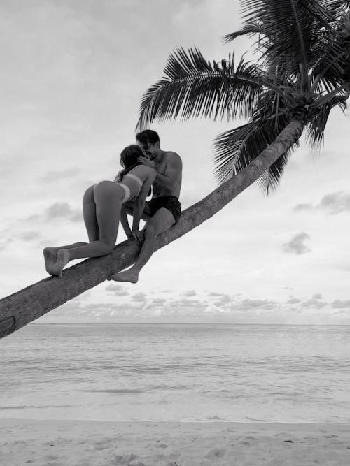 A Couple Sitting on a Palm Tree and Kissing 