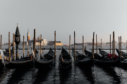 停泊, 城市, 威尼斯 的 免费素材图片