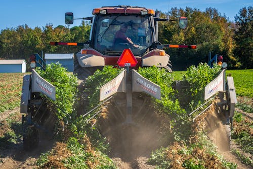 Základová fotografie zdarma na téma farmář, hřiště, muž