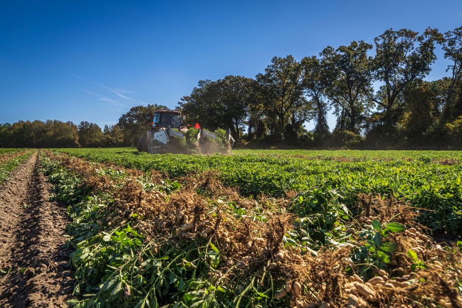 Tractor plowing a lush green farm field under clear blue skies, showcasing agricultural productivity.